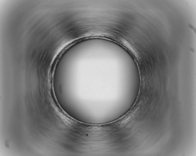 X0000094221124200710260948