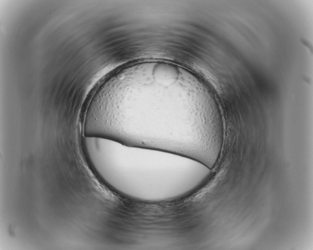X0000094221125200710260948