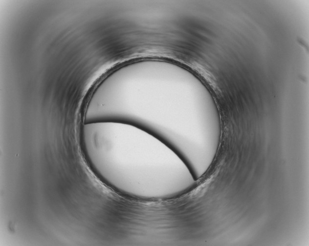 X0000094221126200710260948