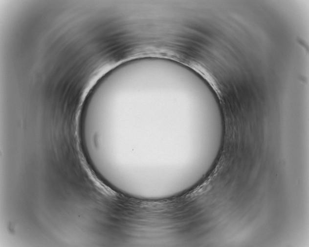 X0000094221128200710260948