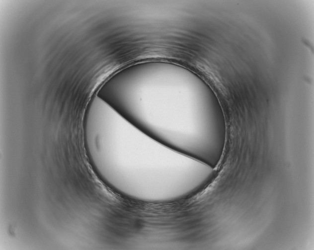 X0000094221129200710260948