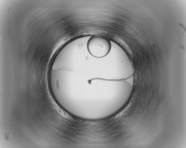 X0000094221130200710260948