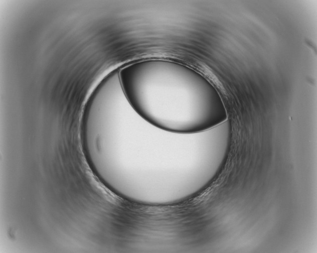 X0000094221132200710260948