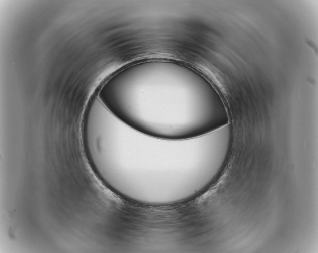 X0000094221133200710260948