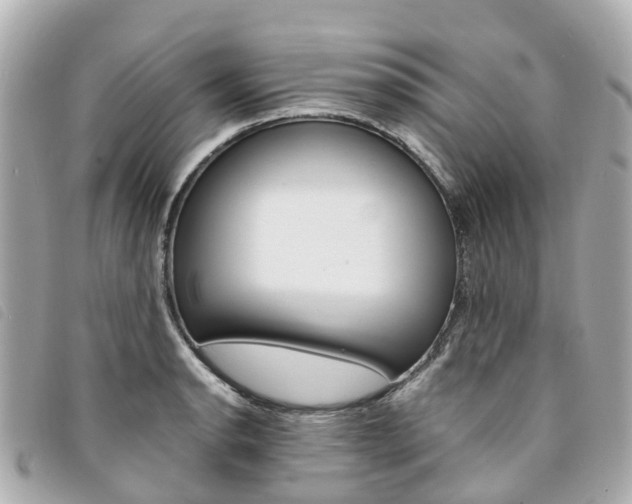X0000094221134200710260948
