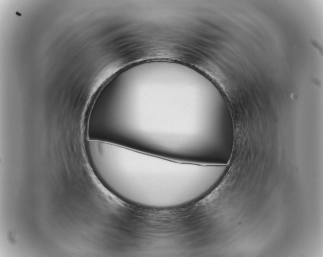X0000094221135200710260948
