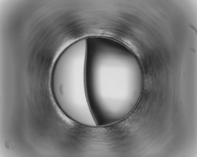 X0000094221136200710260948