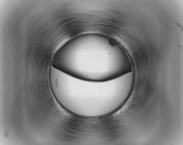 X0000094221137200710260948