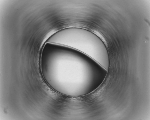 X0000094221138200710260948
