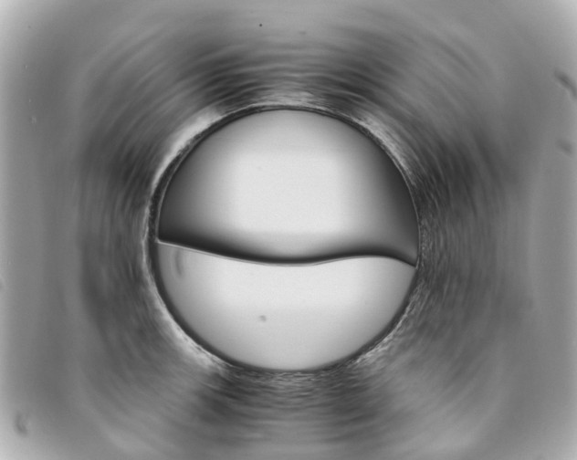 X0000094221139200710260948