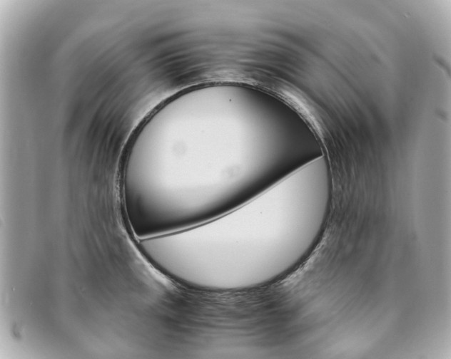 X0000094221141200710260948
