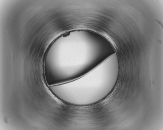 X0000094221142200710260948