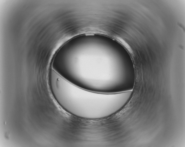 X0000094221144200710260948