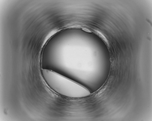 X0000094221146200710260948