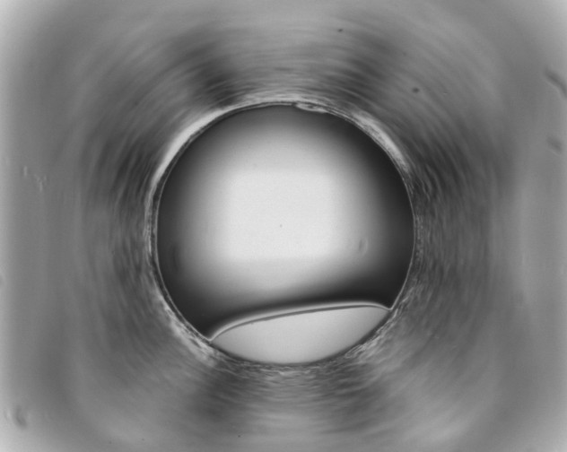 X0000094221148200710260948