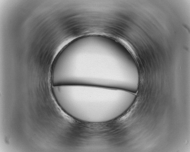 X0000094221149200710260948
