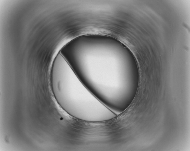 X0000094221152200710260948
