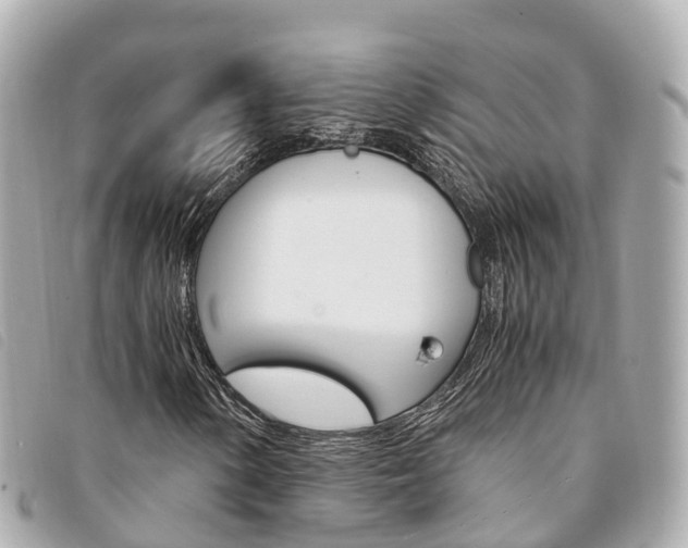 X0000094221154200710260948