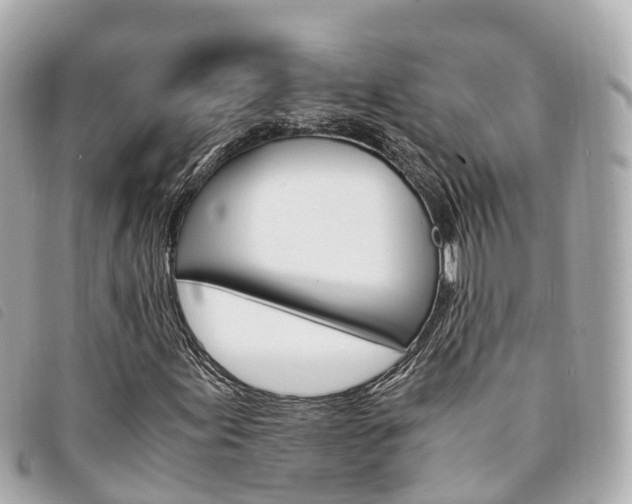 X0000094221155200710260948