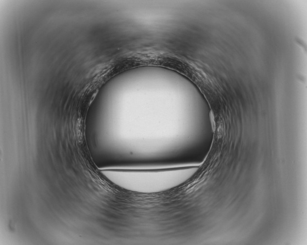 X0000094221156200710260948