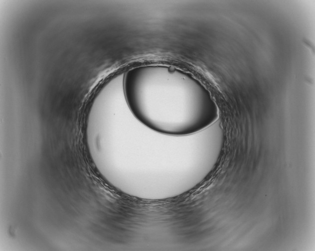 X0000094221160200710260948