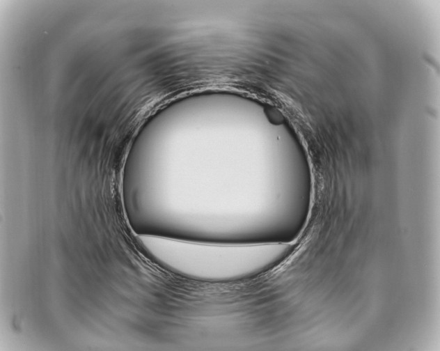 X0000094221161200710260948