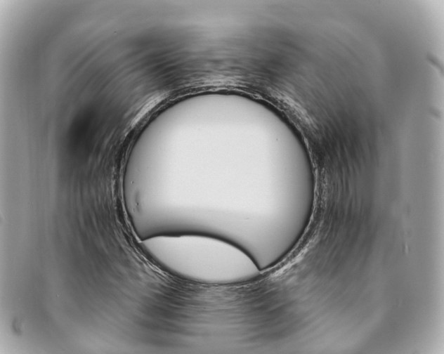X0000094221162200710260948