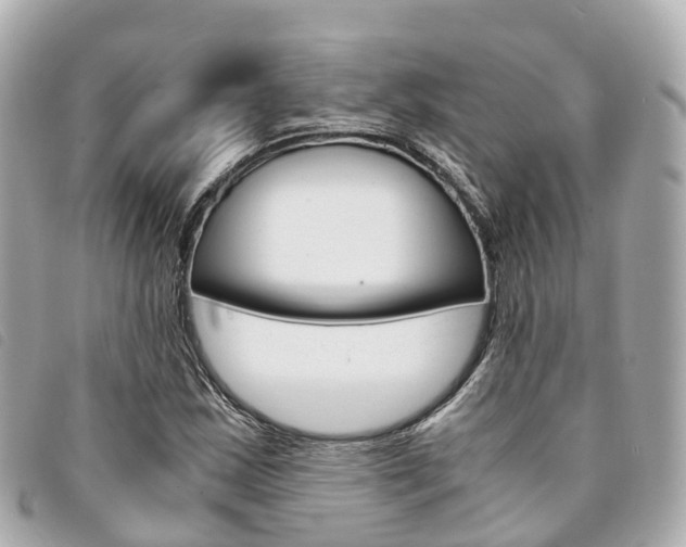 X0000094221163200710260948