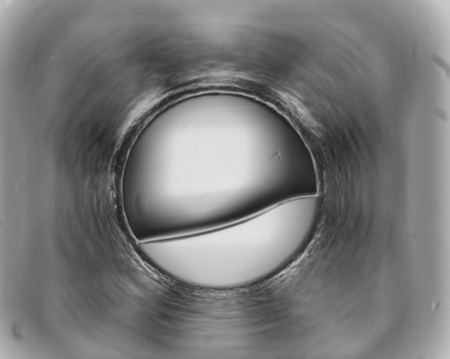 X0000094221164200710260948