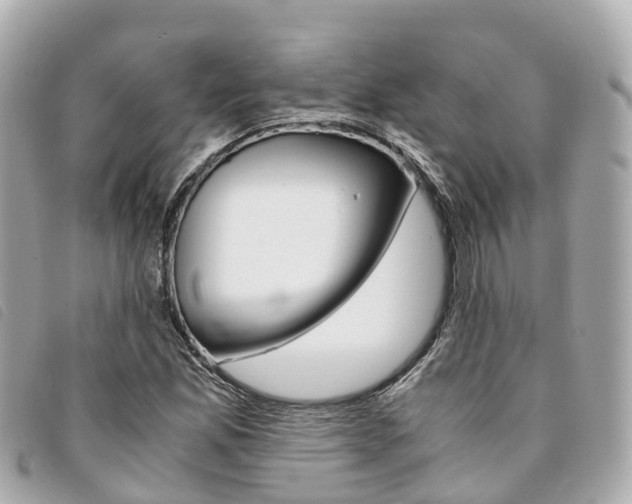 X0000094221165200710260948
