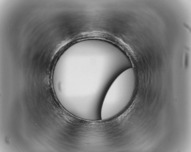 X0000094221166200710260948
