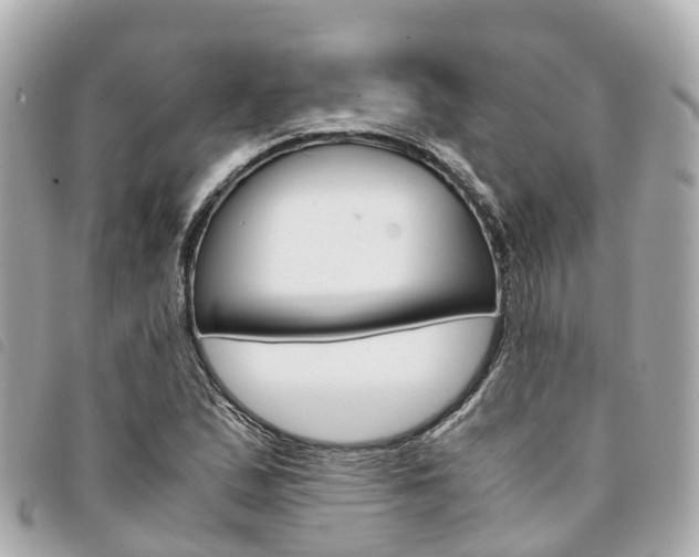 X0000094221167200710260948