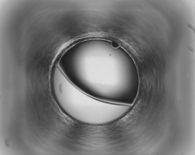 X0000094221168200710260948