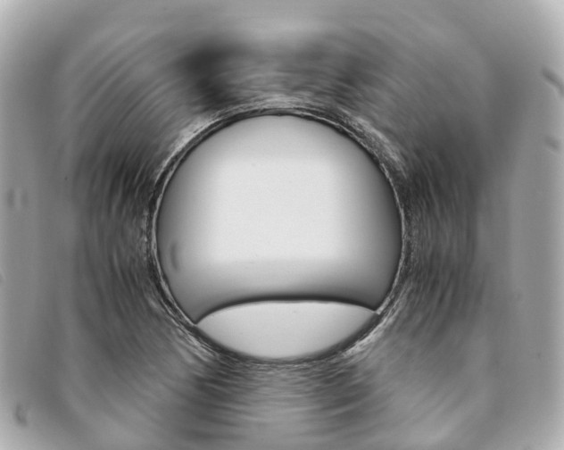 X0000094221170200710260948