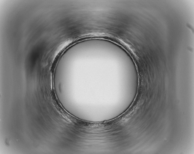 X0000094221171200710260948