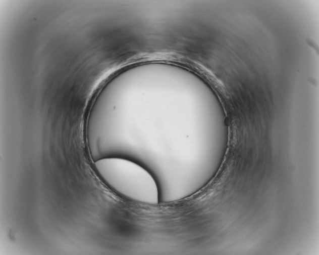 X0000094221174200710260948