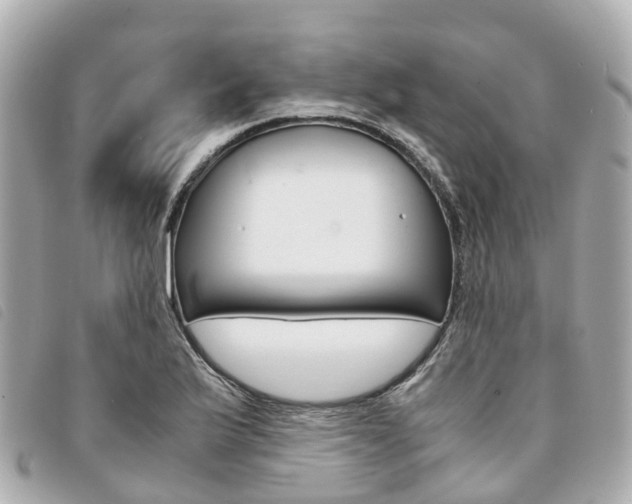 X0000094221175200710260948