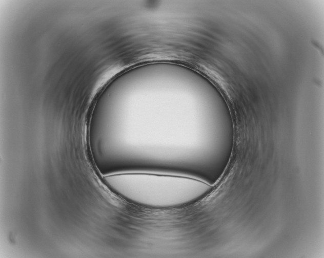 X0000094221179200710260947