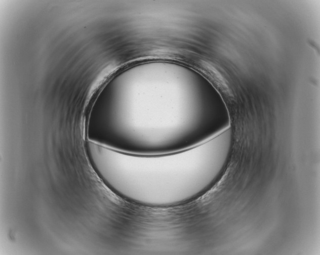 X0000094221180200710260947