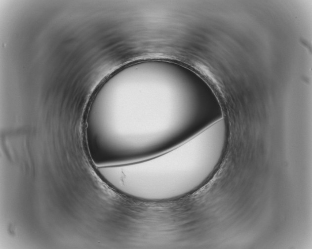X0000094221181200710260947