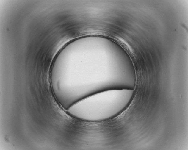X0000094221182200710260947