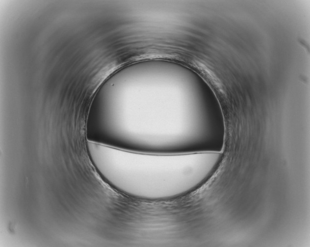 X0000094221185200710260947