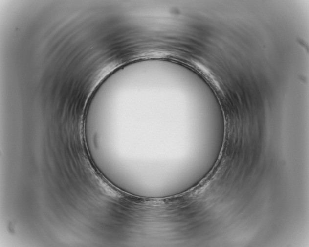 X0000094221186200710260947