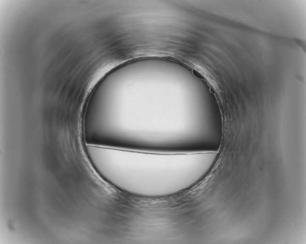X0000094221187200710260947