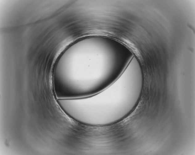 X0000094221188200710260947