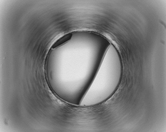 X0000094221189200710260947