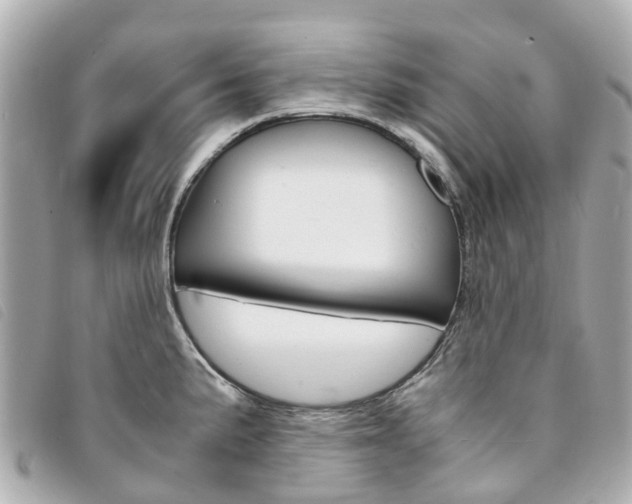 X0000094221191200710260947