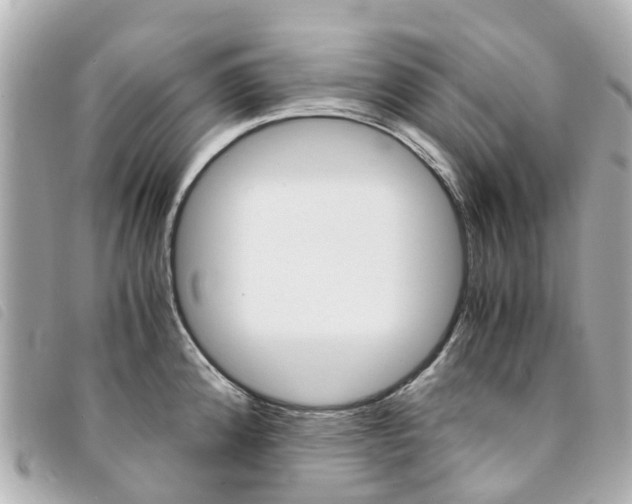 X0000094221192200710260947