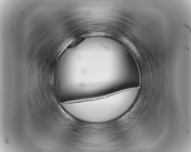 X0000094221193200710260947
