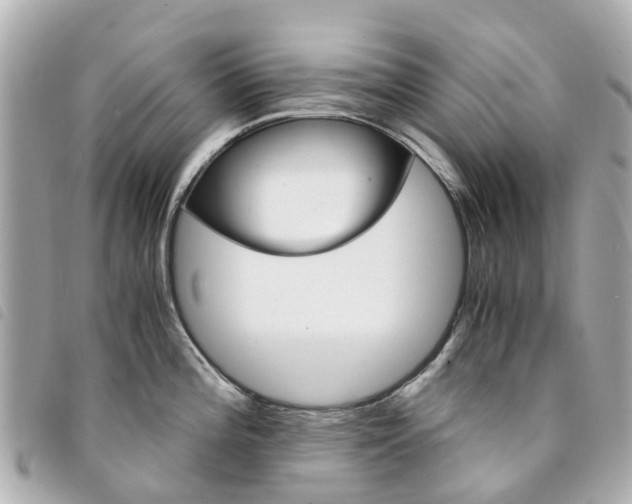 X0000094221196200710260947